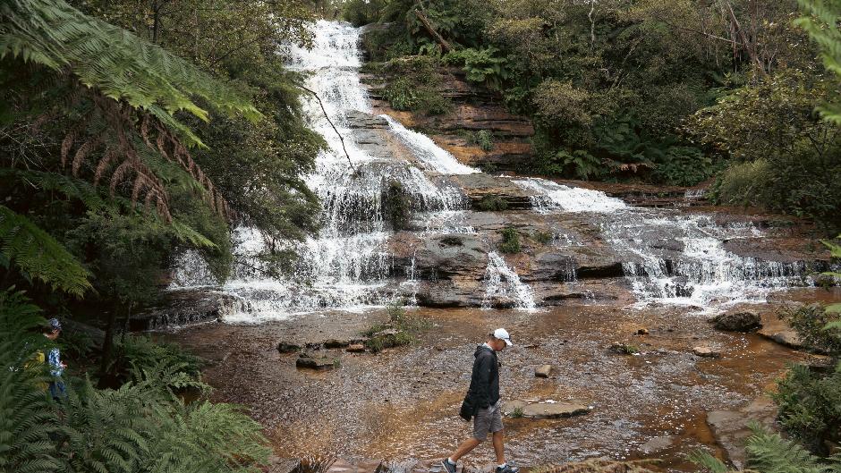 Embark on an unforgettable journey, our Blue Mountains Adventure Tour. An iconic blend of Aussie wildlife and breathtaking scenery including Scenic World, Waterfalls, Ferry, Sydney Zoo and FREE Koala photo.